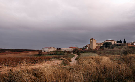Ribera Del Duero contesto paesaggistico