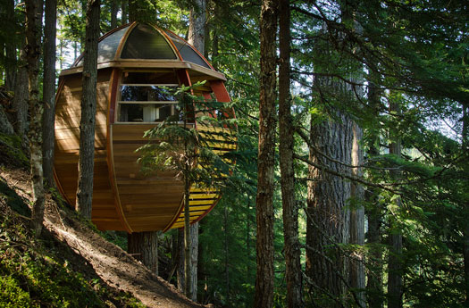 Casa sull'albero ecologica  progetto di Joel Allen